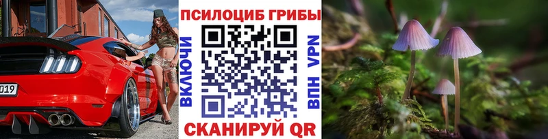 Галлюциногенные грибы Cubensis  shop наркотические препараты  Железногорск-Илимский 